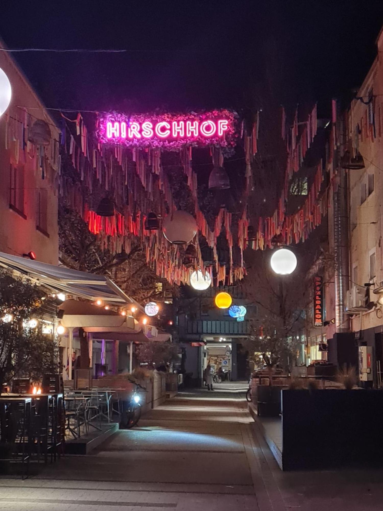 Hirschhof , Zentrum ,direkt An Der Fussgaengerzone,netflix,wlan * Karlsruhe